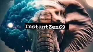 The most beautiful penis in the world - porn video